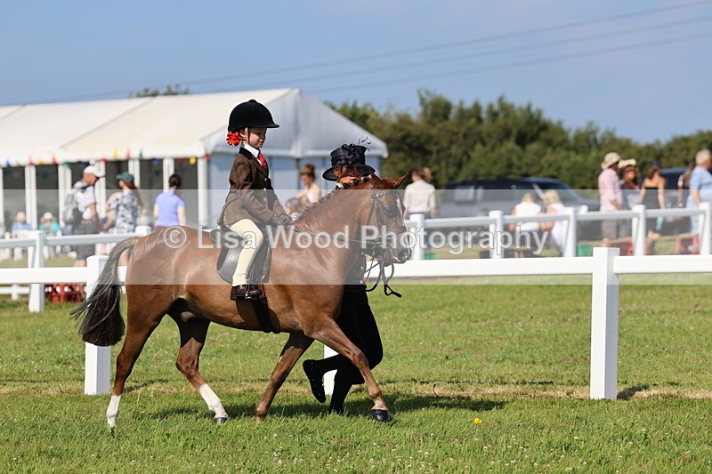 IMG_1709 - Class 31: Lead Rein SP/SHP