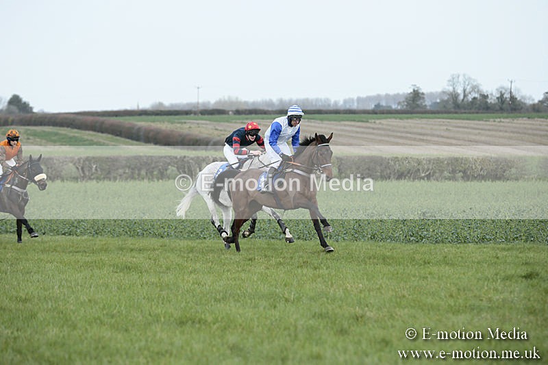 PtP 230319 109 - VWH Hunt Siddington Point-to-Point Racing 23/03/19