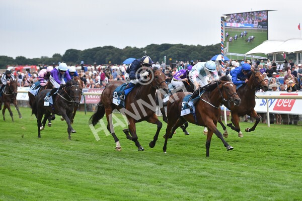 yr18082022r6-40 - Race 6 4.45 pm OR8wellness ebfstallions Nursery Handicap