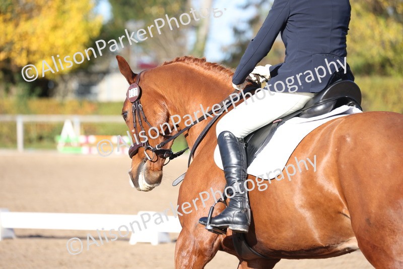 20251102-0532 - Class 3 - Novice 5