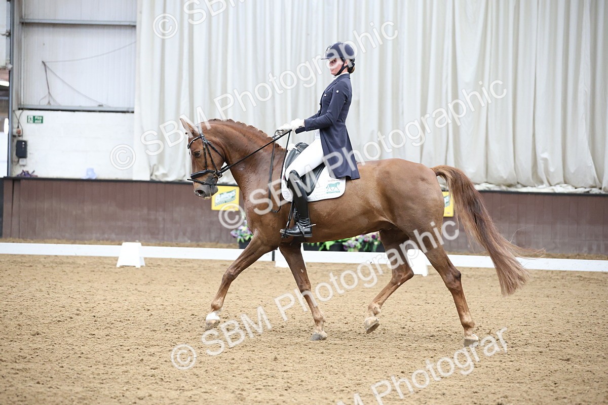 SBM_004354 - Class 9 - FEI Inter 1 Gold - 15.55-16.43