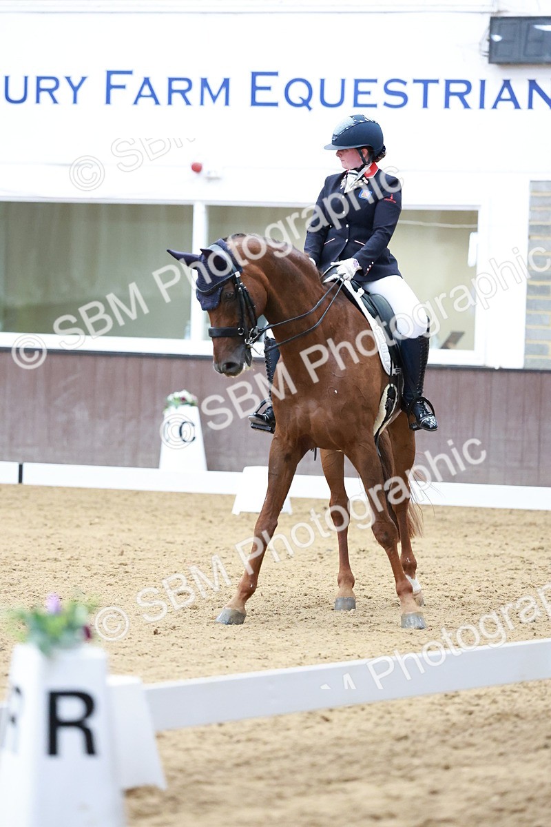 SBM_017924 - Class 15 - FEI Junior