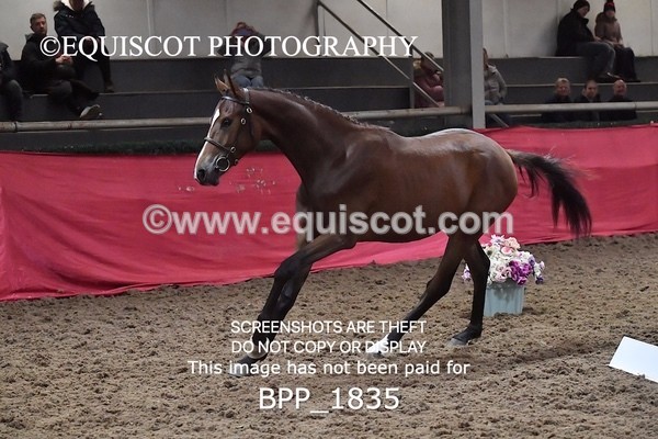 BPP_1835 - MORNING 9AM - 12PM