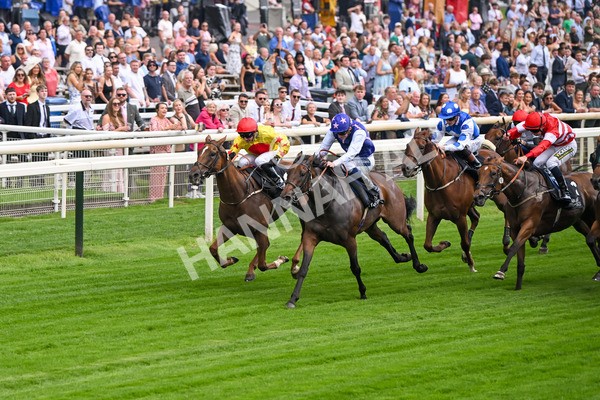 250725-Race 1-Pressures On - Quest For Fun-5336 - Race 1 5.30pm eventmasters.co.uk Handicap