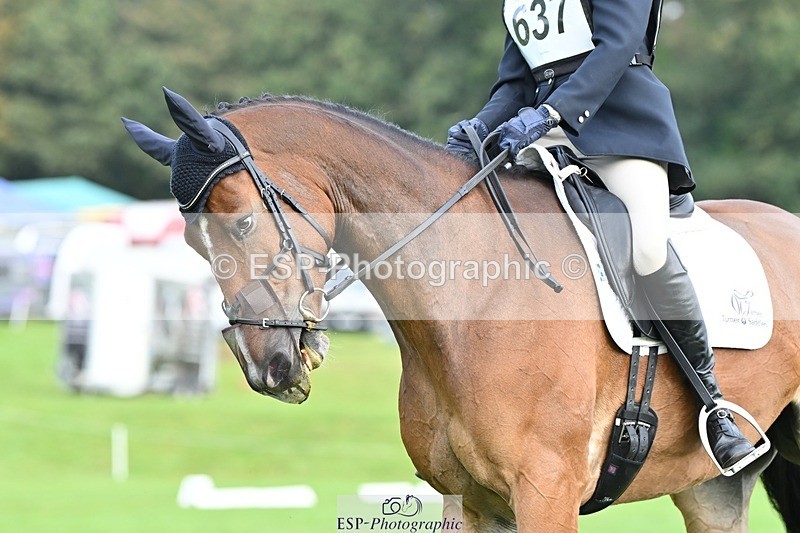 231020-101946-07584 - 637-JOIE.DE.TOURLIDA-Bronia.Hill-DR