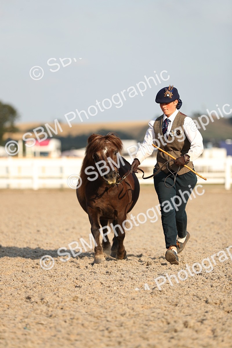 SBM_09060 - Class 29 IH Veteran Pony