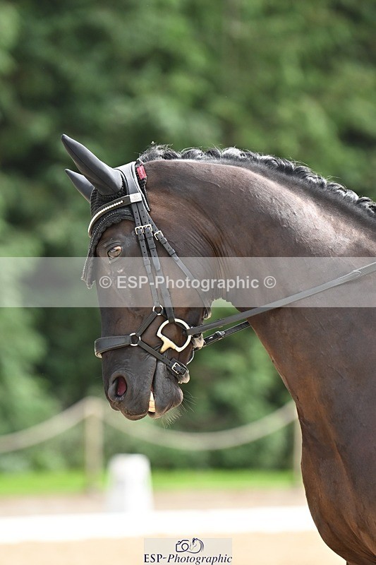 240811-141359-06304 - 115-Lucy.Amy-Millenium.Falcon