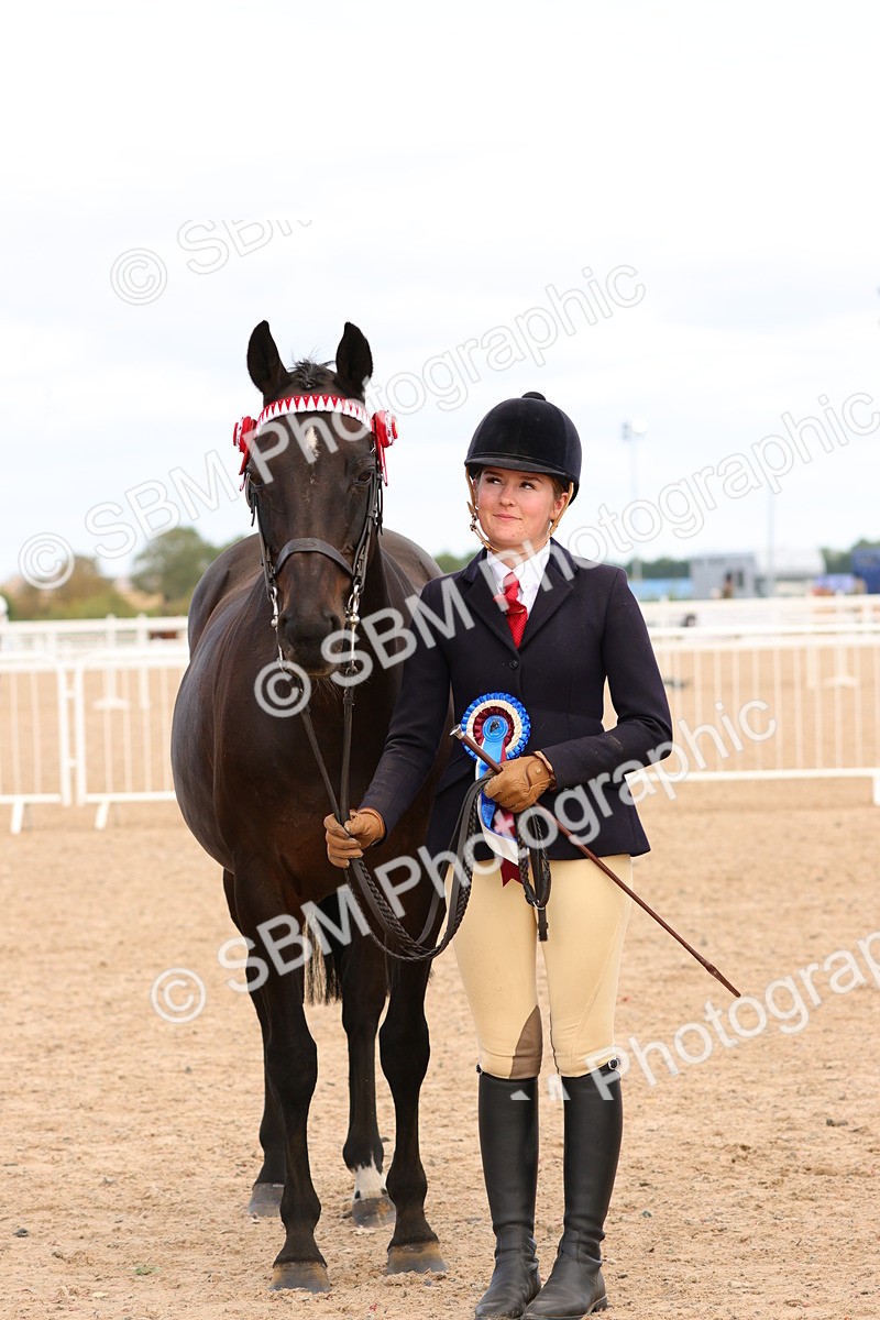 SBM_12365 - Class 210 - IH Show Horse