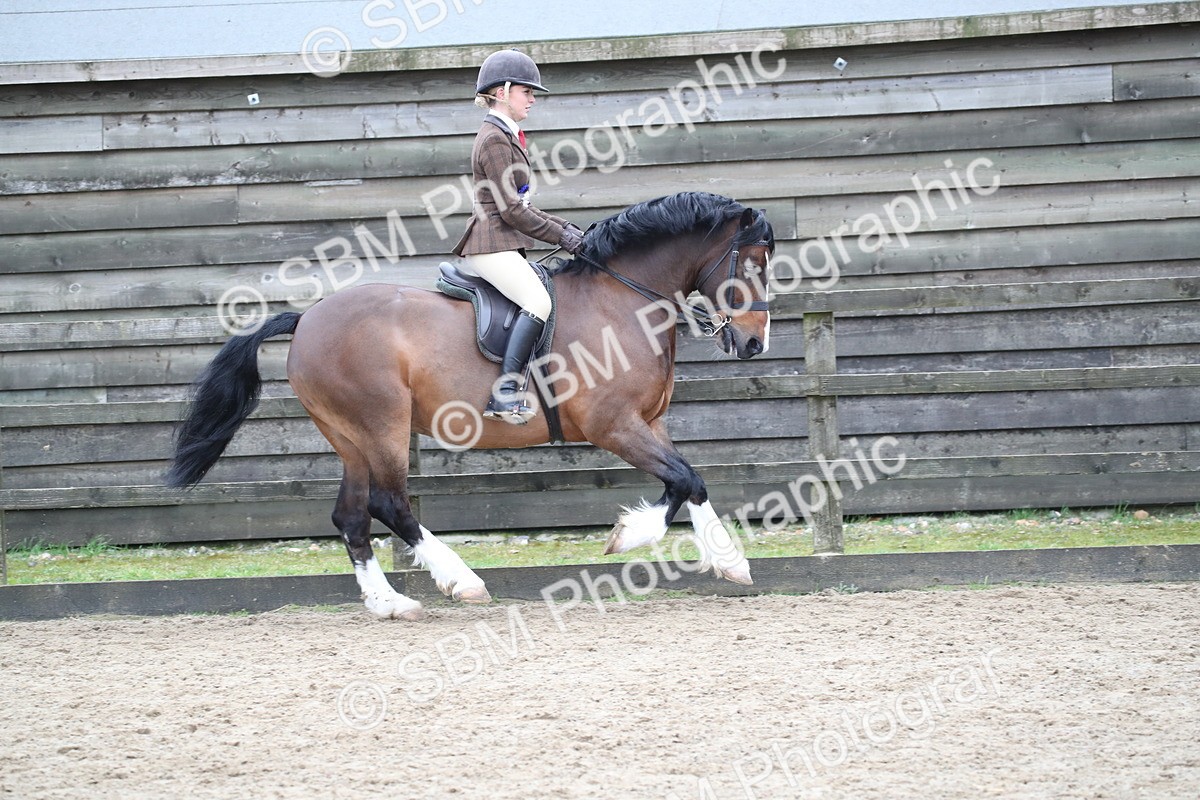 SBM_007079 - Class 10-13 - RIHS Small Large Breeds