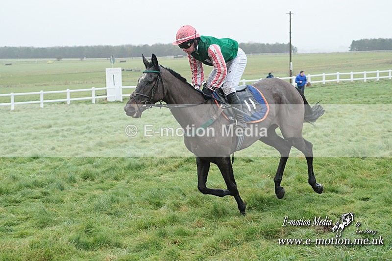 PtP 101223 266 - New Forest Hounds PtP Larkhill 10/12/23