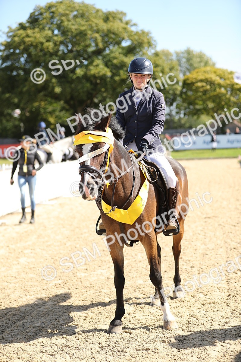 SBM_04784 - J28 - Senior Horse & Pony 60cm Championships