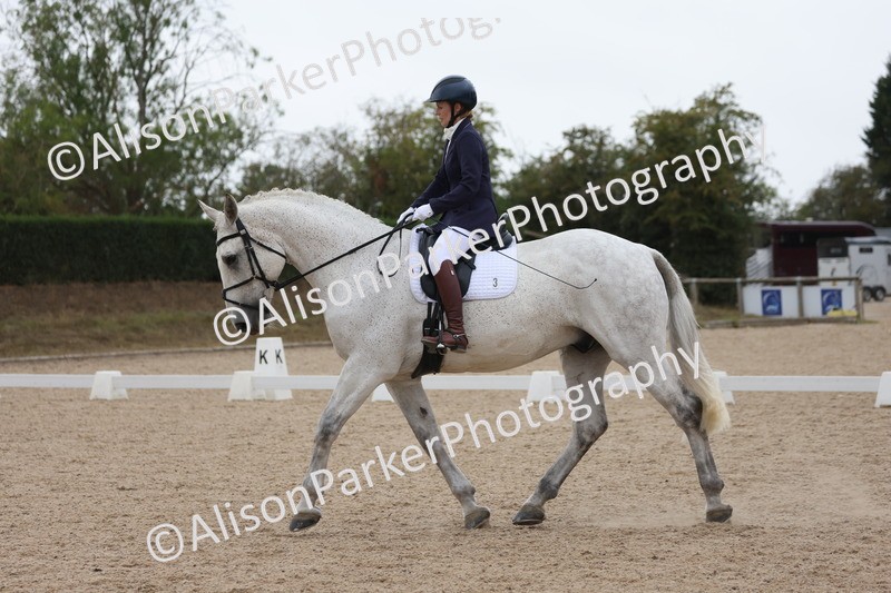 20250820-0316 - Class 11 - My Quest Novice 3