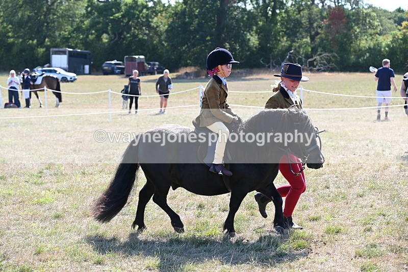 WJ6_7452 - Class 34 Judges Choice