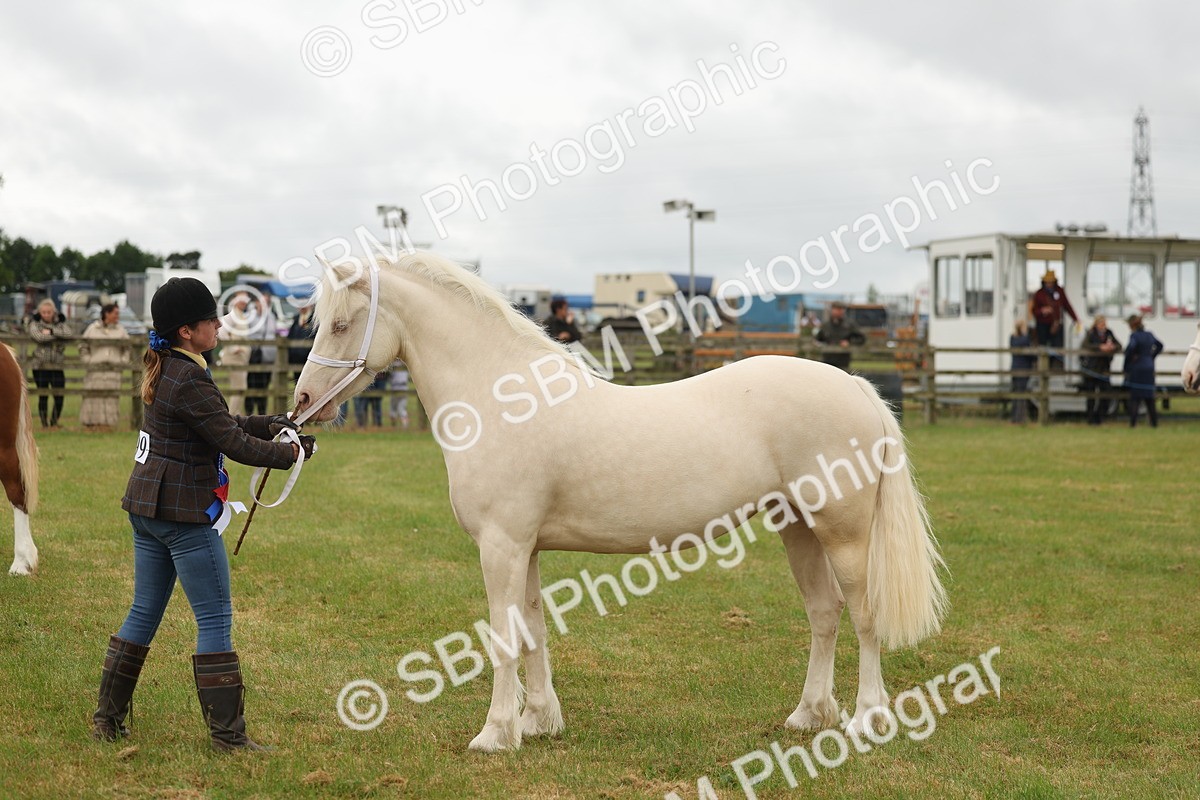 SBM_02450 - Class 50-57 - M&M Welsh Pony In Hand