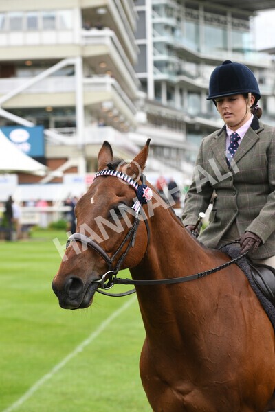 yr22052022r8e-11 - ROR - Parade Ring York