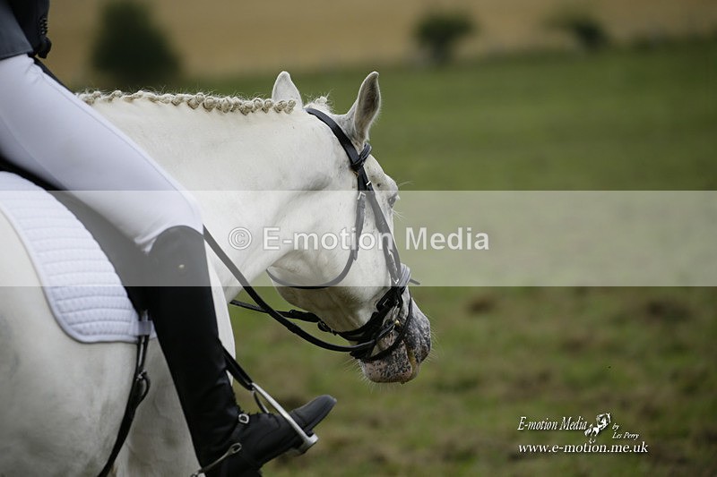 BVRC 120921 491 - Bourne Valley Riding Club UA Dressage & Show Jumping 12/09/21