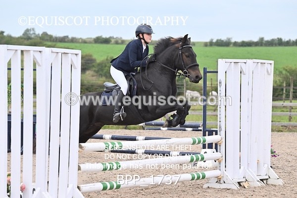 BPP_1737 - CLASS 12 Pony BritiNovice / 0.80m Open