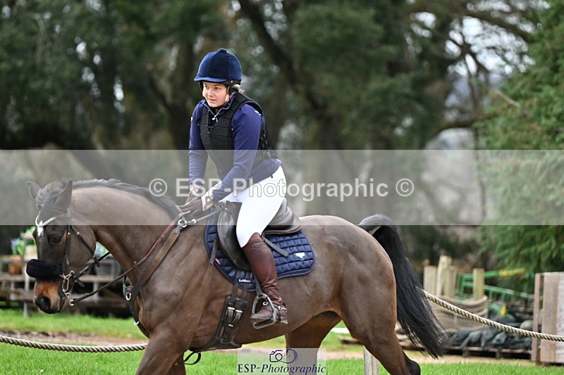 250201A-103006-00241 - Cls 01 Local Horse 90cm