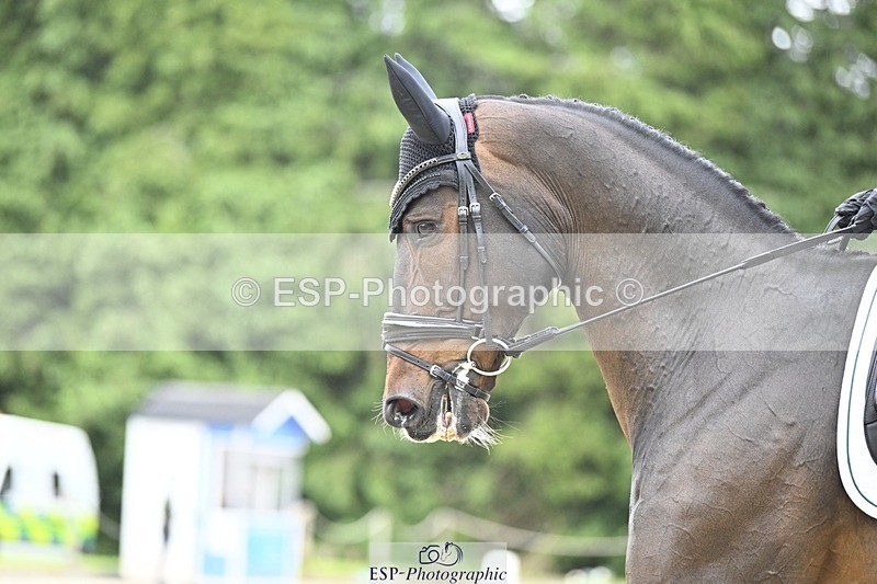 240523-165455-05571 - 448-DISCO_TRAVELER-Molly_Duda