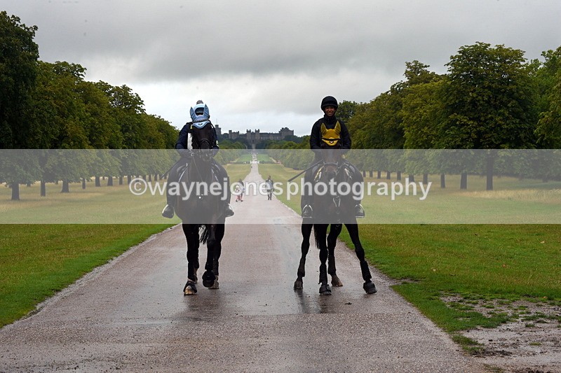 TT3_8909 - Time at Crossing 12:55 to 15:02