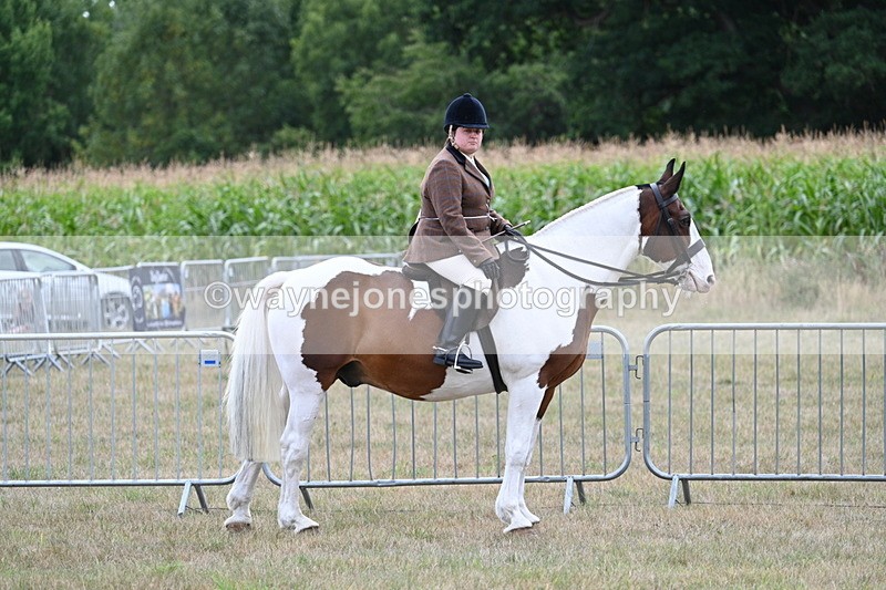 WJ7_5333 - Class 12 Ridden Cob