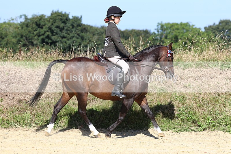 3E7A8110 - Class 16: First Ridden