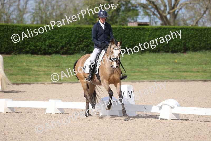 20260405-0254 - Class 3 - Novice 5