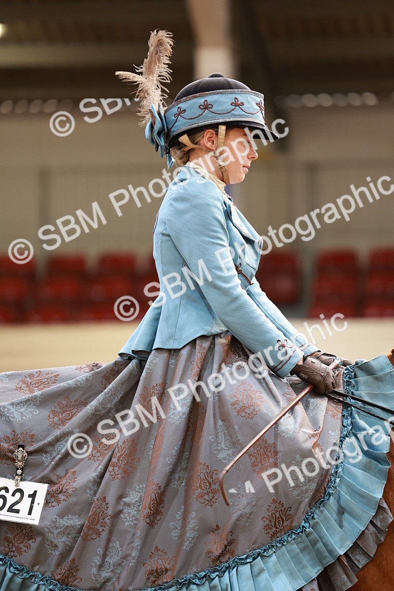 SBM_13751 - Class 106 - Ridden Costume -Astride Adult (15-19)