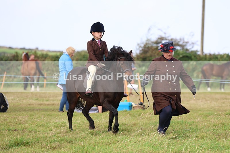 3E7A3595 - Class 2: Lead rein