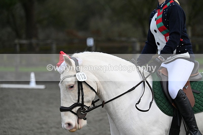 WJ7_4834 - Time 11:35 to 11:48