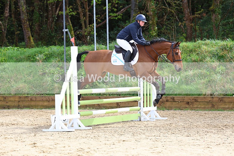 3E7A0810 - Class 4: Senior British Novice/90cm open