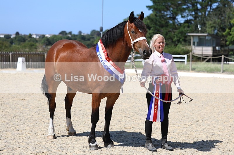 3E7A9956 - In Hand Championship