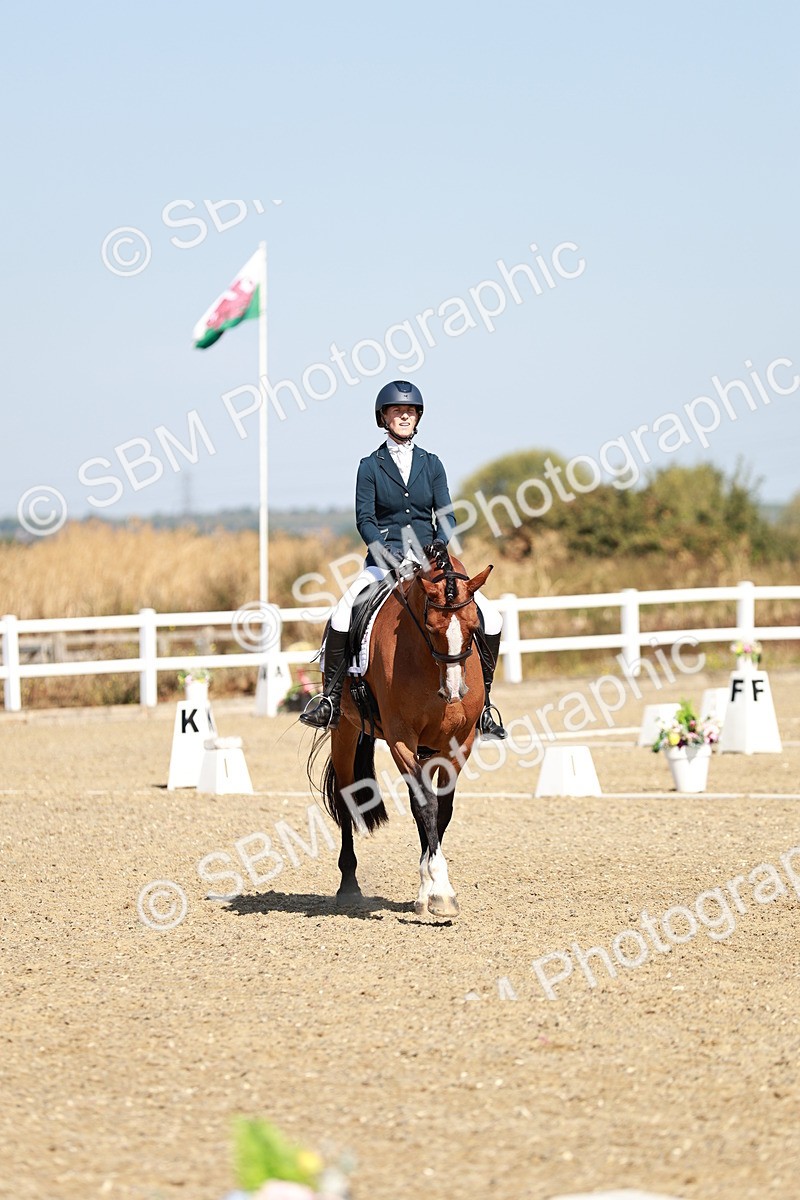 SBM_017311