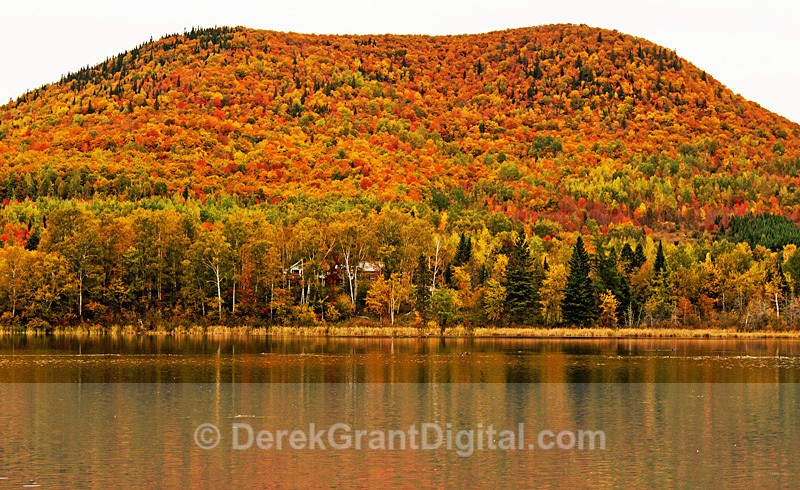 Moose Mountain Carleton-Victoria New Brunswick Autumn Foliage - Autumn Foliage
