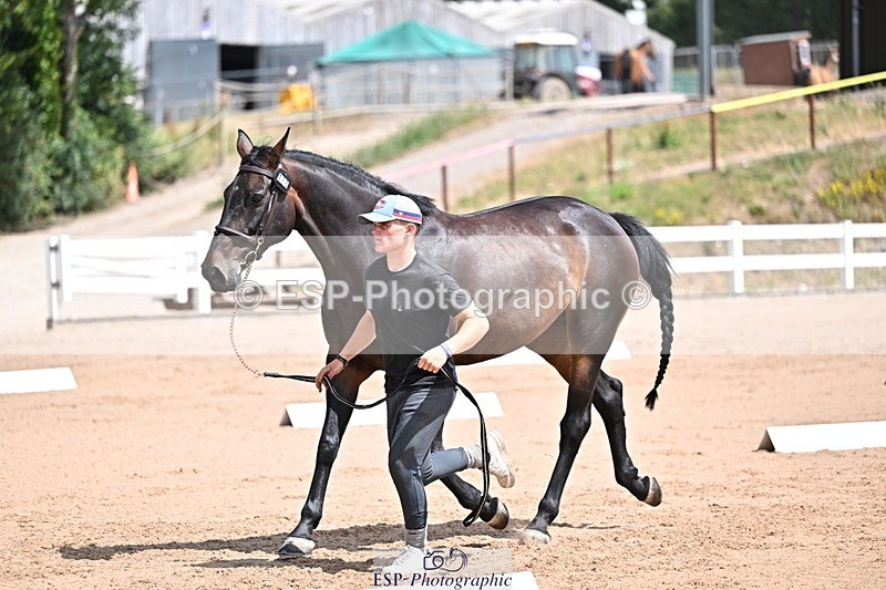 250716-125126-00204 - Trot Up 12.30 to 1.30