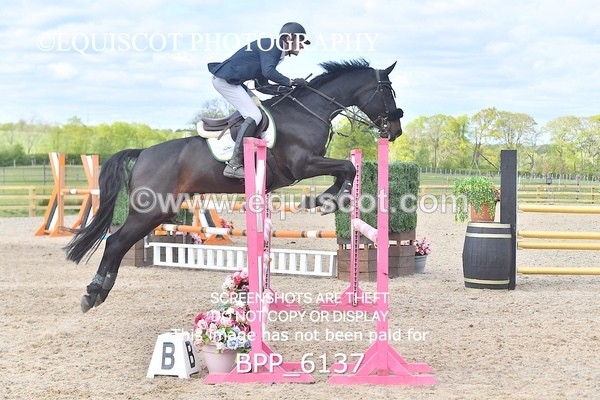 BPP_6137 - CLASS 29 SUN Senior Newcomers/ 1.10m Open