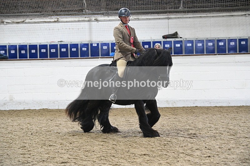 WJ7_4541 - Afternoon Champs