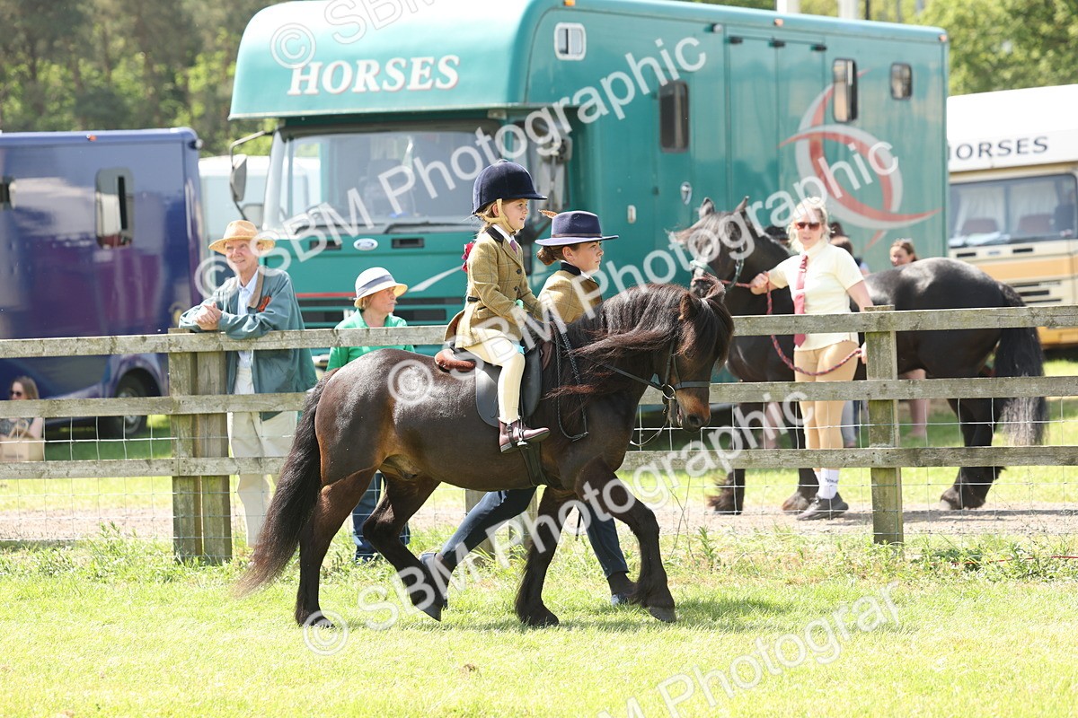 SBM_05316 - Class 24-25 - Mountain & Moorland In Hand Lead Rein and First Ridden