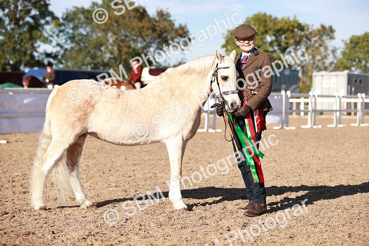 SBM_11458 - Class 402 - IH  Veteran pony