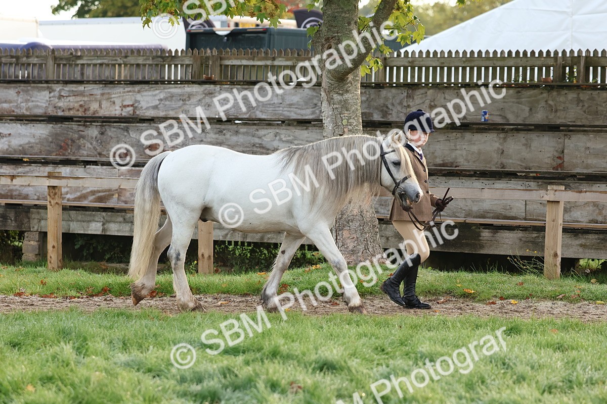SBM_54502 - S38 - Starters Best Turnout