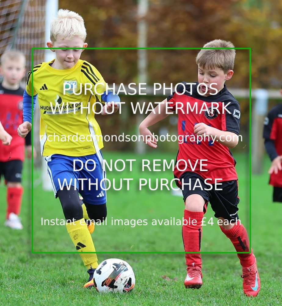 533A2944 - Kendal Utd U8's vs Sedbergh Wanderers Juniors U8 (8/11/25)
