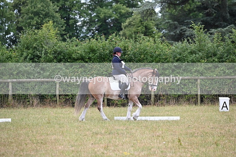 WJ6_3128 - Time 11:07 to 11:34