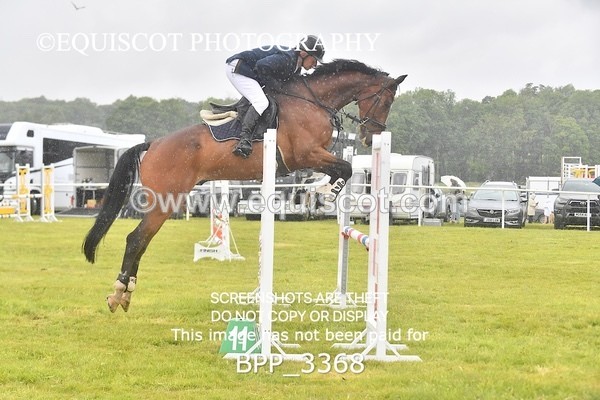 BPP_3368 - CLASS 5 SENIOR BR NOVICE/90CM OPEN
