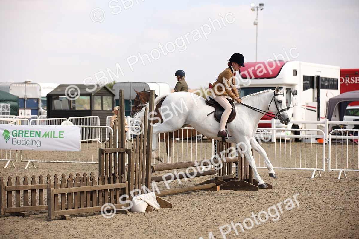 SBM_15046 - Class 408a - Working Veteran 70cm (15-19