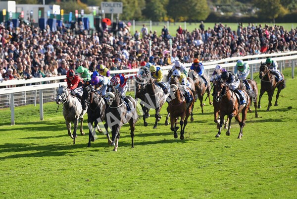 yr08102022r4-36 - Race 4 3.15pm The Coral Sprint Trophy