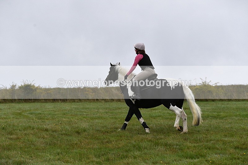 WJ5_5904 - Time 10:46 to 11:09