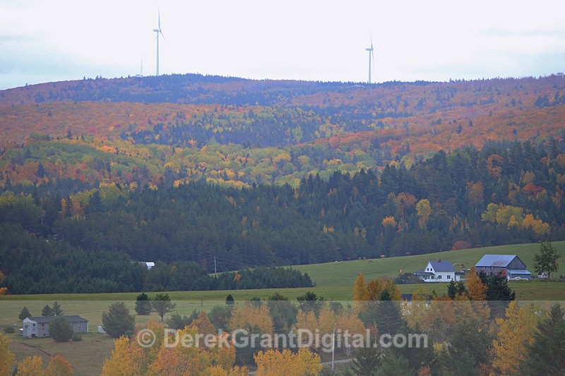 Prosser Brook, New Brunswick Autumn Foliage - New Brunswick Landscape