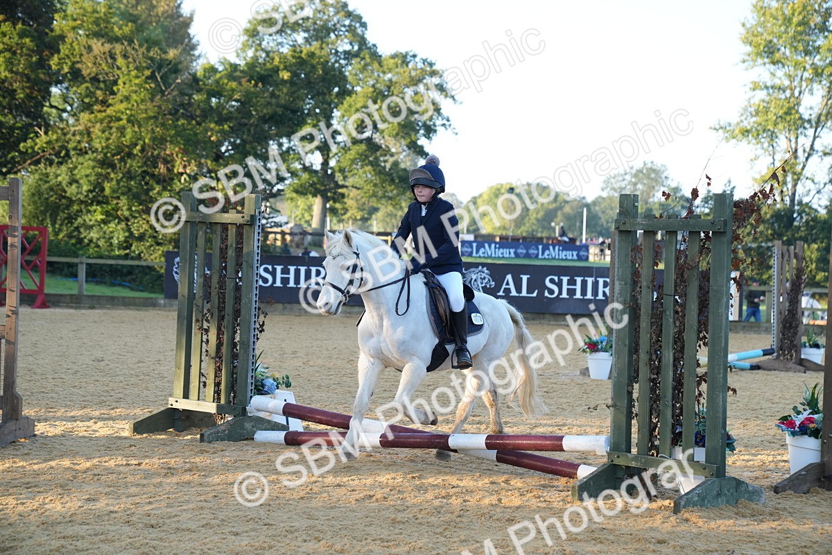 SBM_58876 - J63 - Minis Clear Round 30cm 40cm