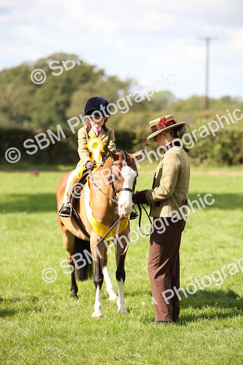 SBM_40913 - Fun Showing Supreme Championship