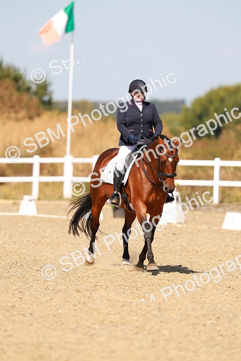 SBM_017983 - Class 9 - N5 Bronze 10.33.11.36